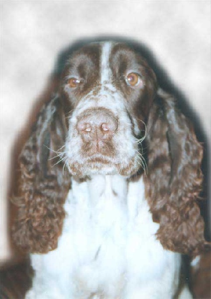 TR. Hoceane Du puits lachaud